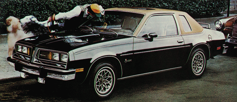 Pontiac Sunbird 1980. 1980 - $156 (CB4). SUNBIRD